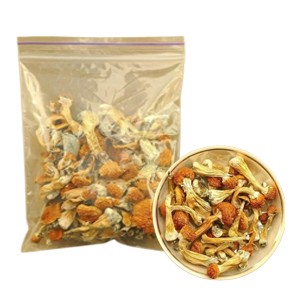 product_img1