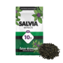 salvia divinorum, buy salvia extract, salvinorin A, short-acting psychedelic, legal hallucinogen, 10x salvia, 20x salvia, natural dissociative, salvia trip, salvia effects, salvia for sale, salvia leaf, salvia extract online